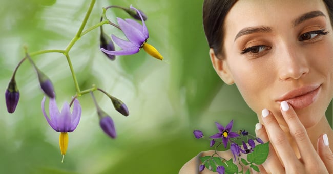 Herpes labiale: l'omeopatia suggerisce dulcamara e sepia