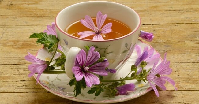 È il momento della malva: usala così