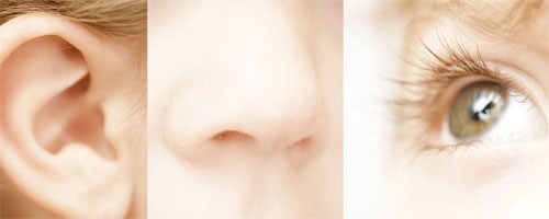 E tu di che senso sei?