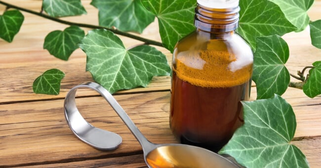 Bronchite addio con i suffumigi di edera