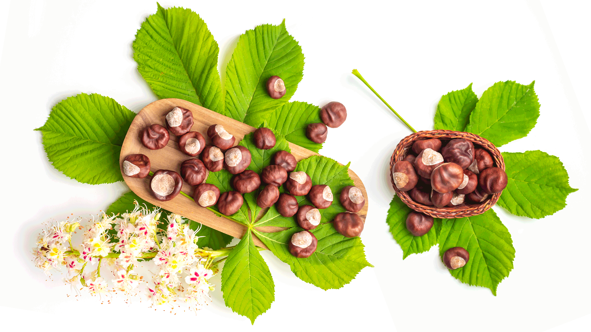 Emorroidi: come si curano