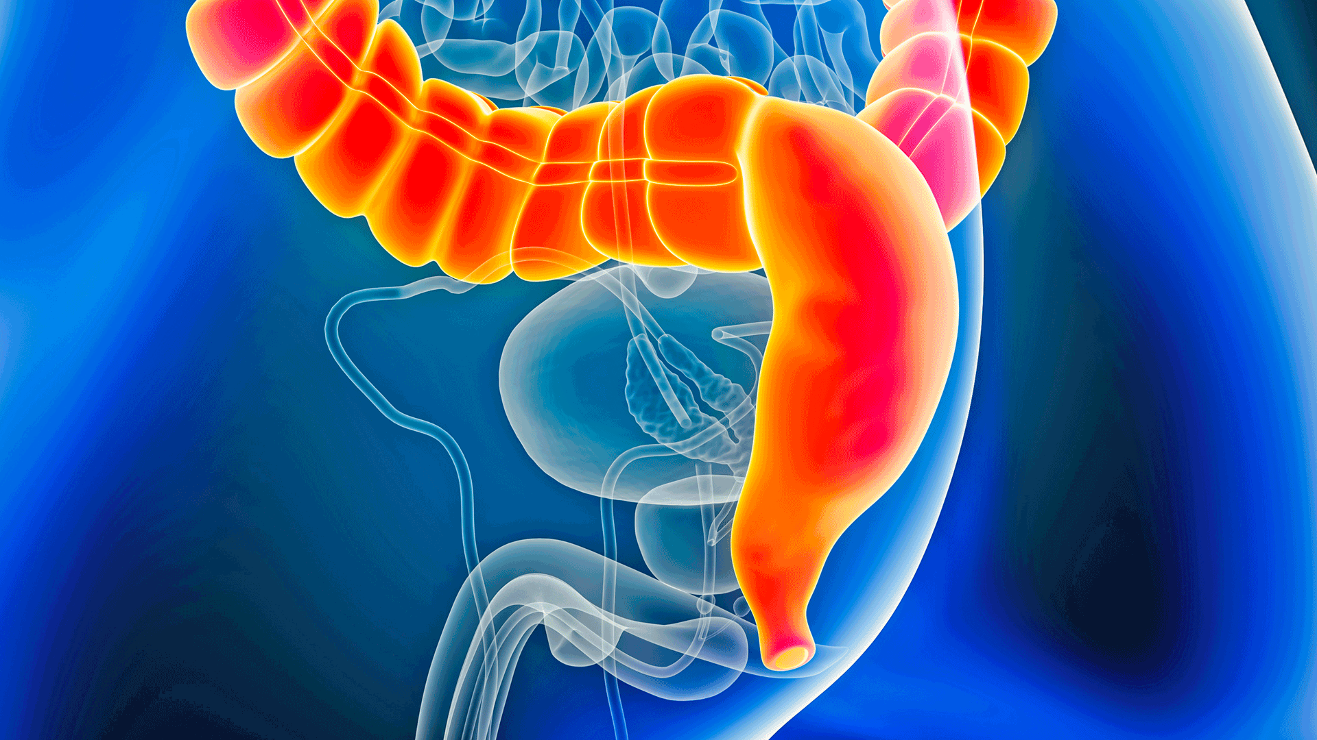 Emorroidi: cosa sono, le cause, i sintomi e i rimedi