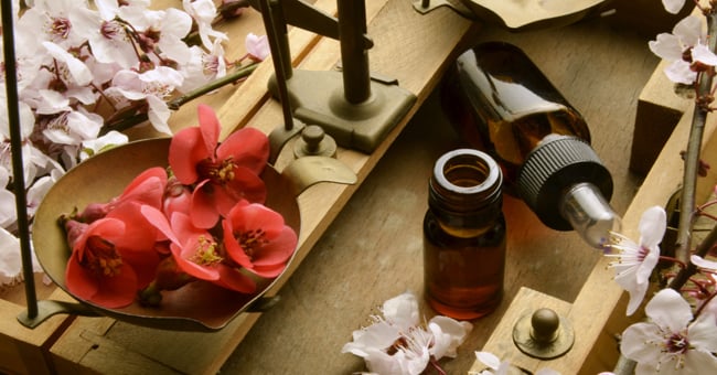 Fiori di bach proprietà e benefici: scopri come usarli