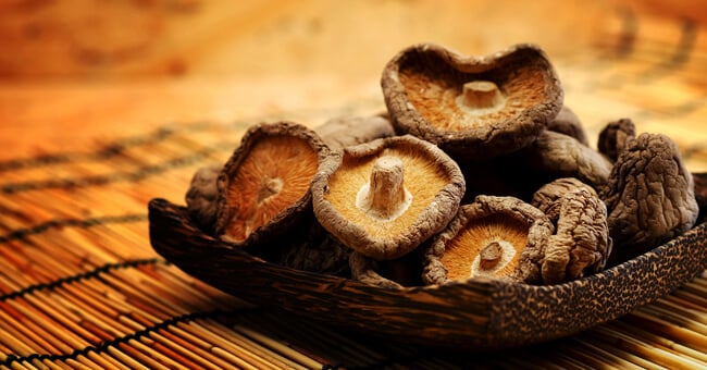 Funghi medicinali: scopri i benefici della micoterapia