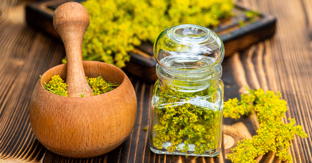 Galium omeopatico: cos’è, a cosa serve e come si usa