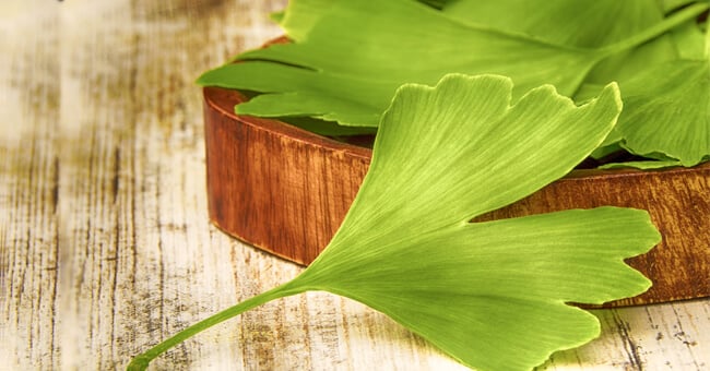 Gli acufeni ti tormentano? Rimedia con ginkgo biloba e agopuntura