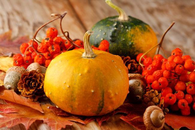 La zucca e diabete: un potente alleato