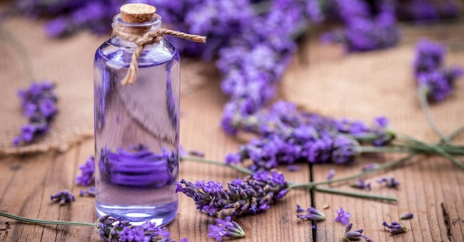 L’olio essenziale di lavanda