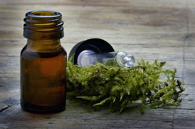 Lichene islandico: così ti liberi dalla tosse