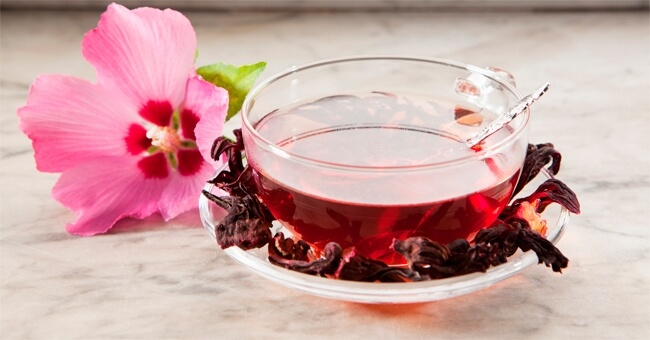 Malva, la pianta guaritrice di fine marzo