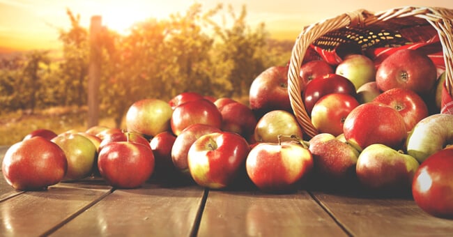 Mela: il frutto della salute