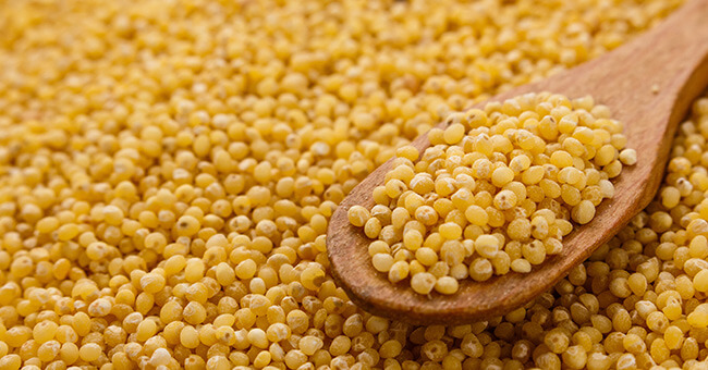 Miglio, cereale eccezionale per depurare l'intestino