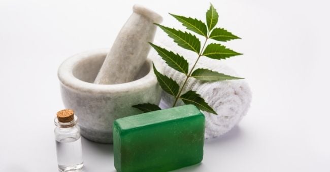 Olio di neem: proprietà e benefici