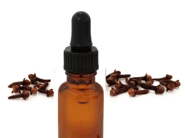 Nei chiodi di garofano un vaccino contro il freddo