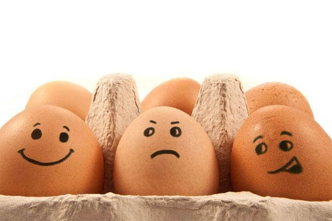 Nelle uova una miniera di sostanze utili