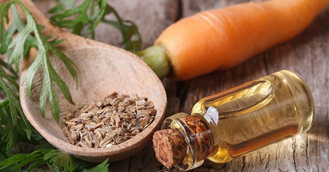 Olio essenziale di carota: il rimedio che pulisce pelle e organi