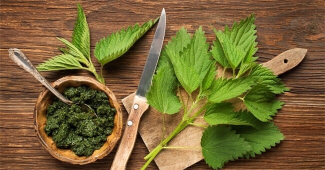 Ortica: eccellente contro la ritenzione!