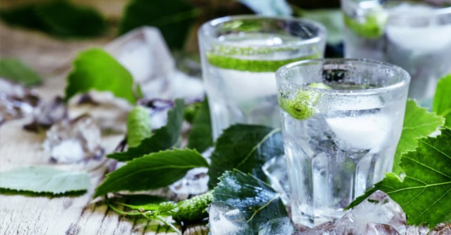 Acqua di cactus: l'integratore giusto per eliminare grasso e ritenzione