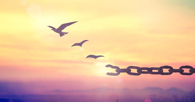 Perdonare o dimenticare? Fai la scelta giusta