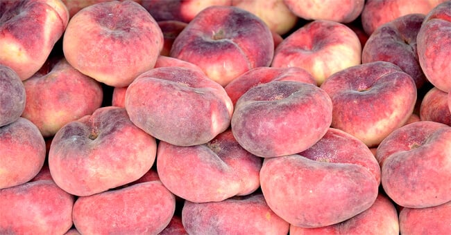 Pesca tabacchiera, un concentrato di sostanze antiage