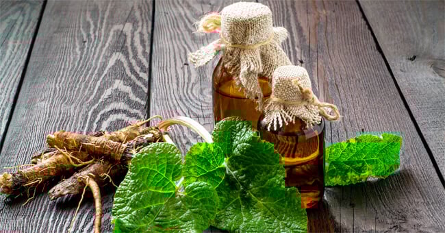 Pioppo nero, il numero uno degli antinfiammatori naturali