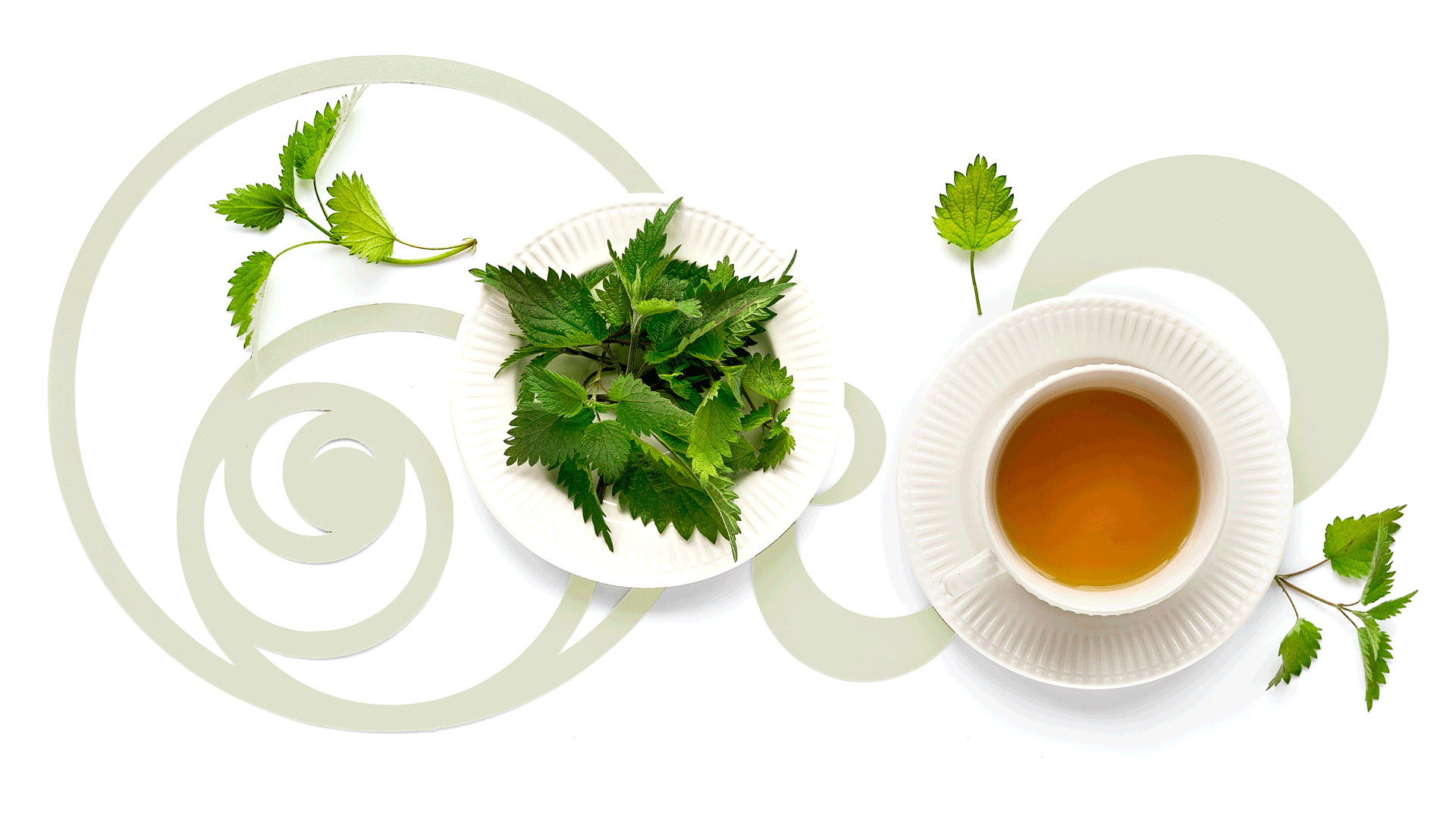 Ritenzione idrica: i rimedi naturali