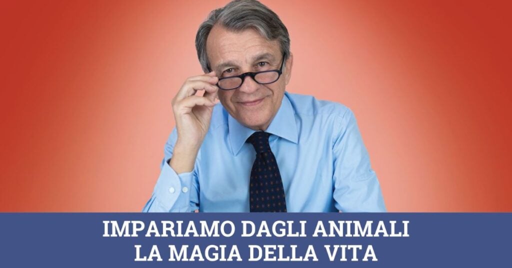 Impariamo dagli animali la magia della vita