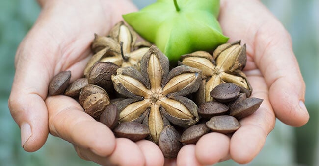 Spegni l'infiammazione cronica con l'olio di sacha inchi