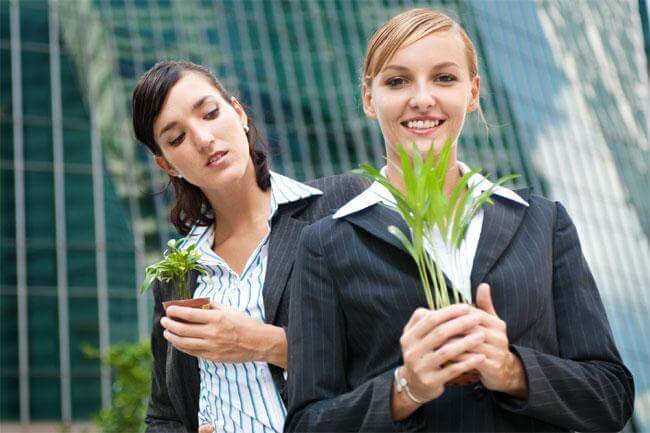 Scacci le crisi se abolisci i paragoni