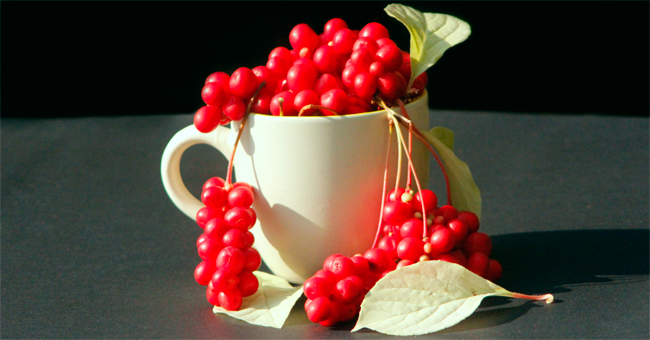 La schisandra ti disintossica, ti ricarica e aumenta le difese