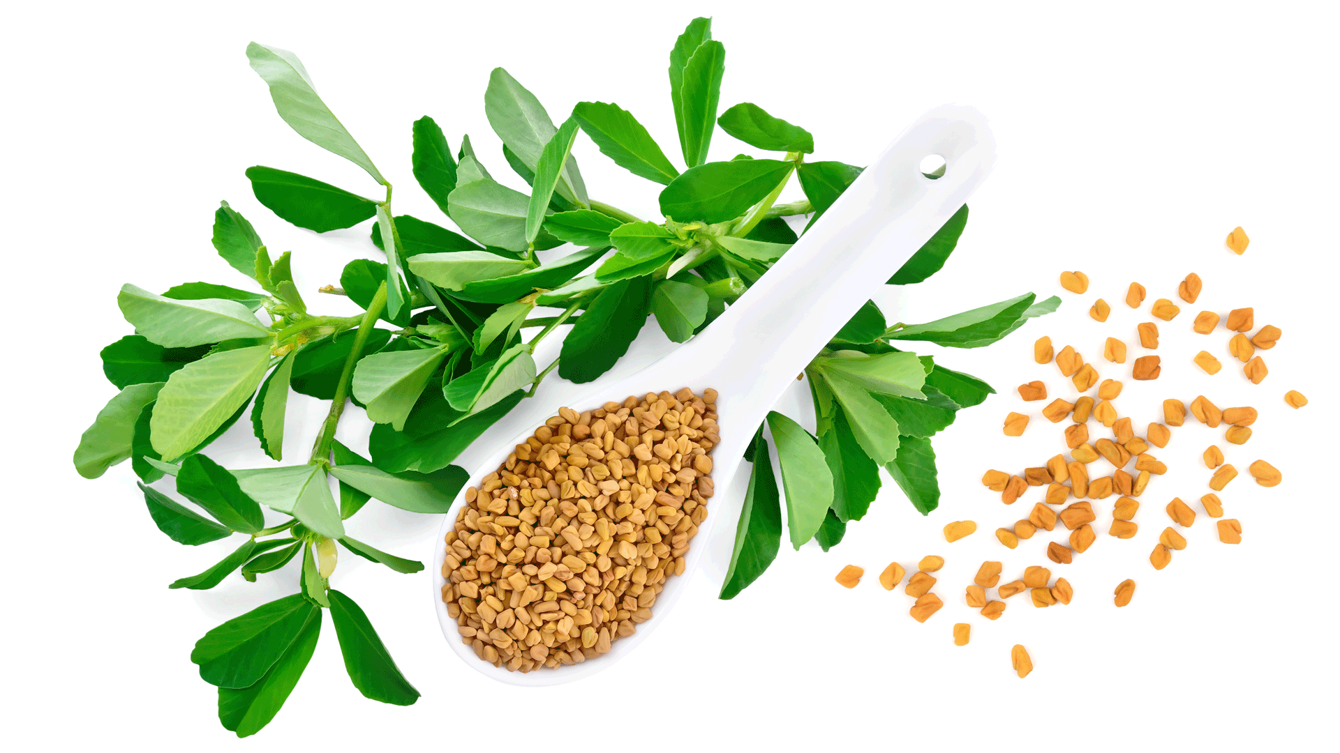 Trigliceridi: i rimedi naturali