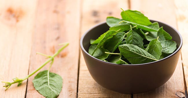 Tulsi, il basilico che ti dà la carica