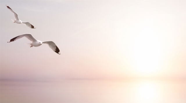 Un gioco per rinascere ogni giorno