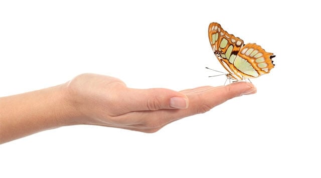 Una mente flessibile ti fa volare!