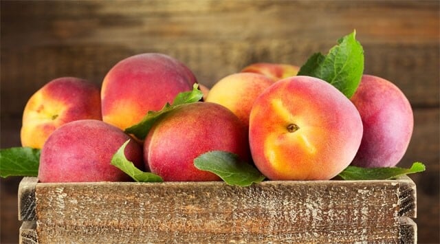 Una pesca al giorno aiuta tutto il corpo