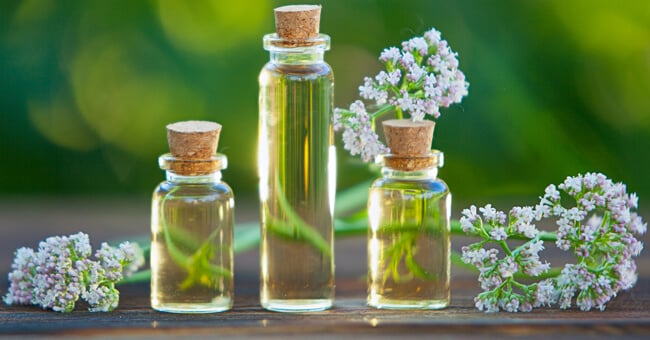 Dalla valeriana alla melissa: le erbe giuste contro il mal di testa