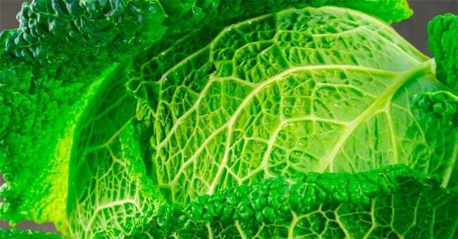 Verza, il tuo scudo verde contro il cancro