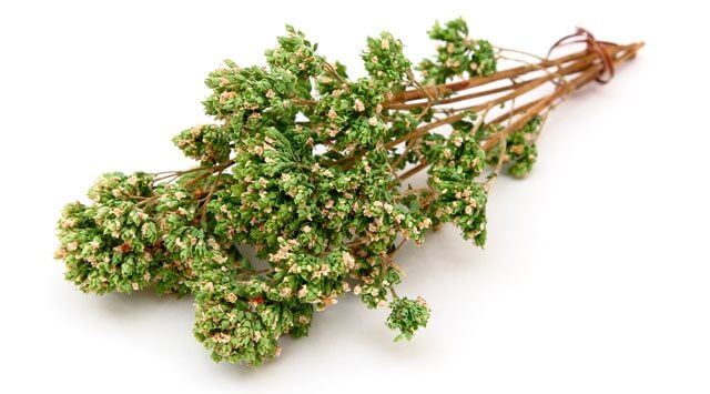 Via febbre e malesseri con l'origano