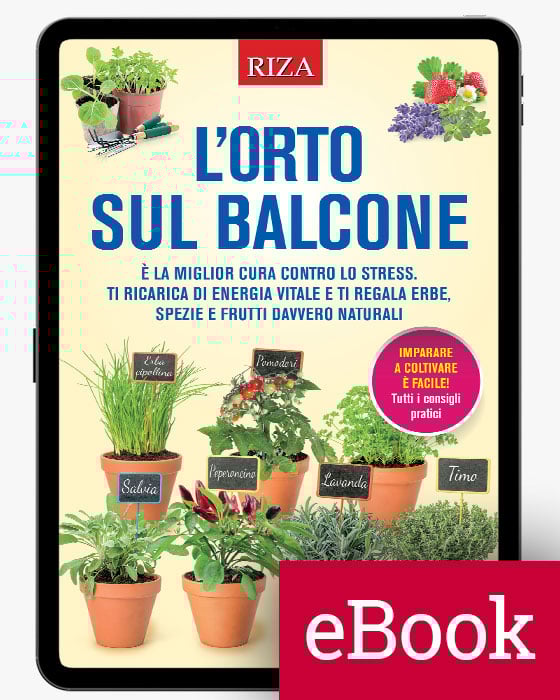 L'orto sul balcone (ebook)