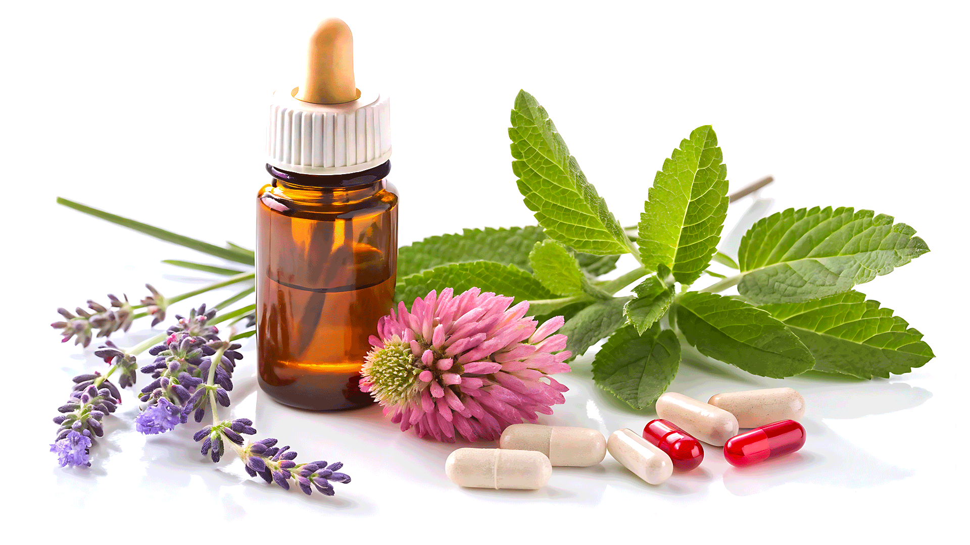 Erbe e fitoterapia: rimedi naturali