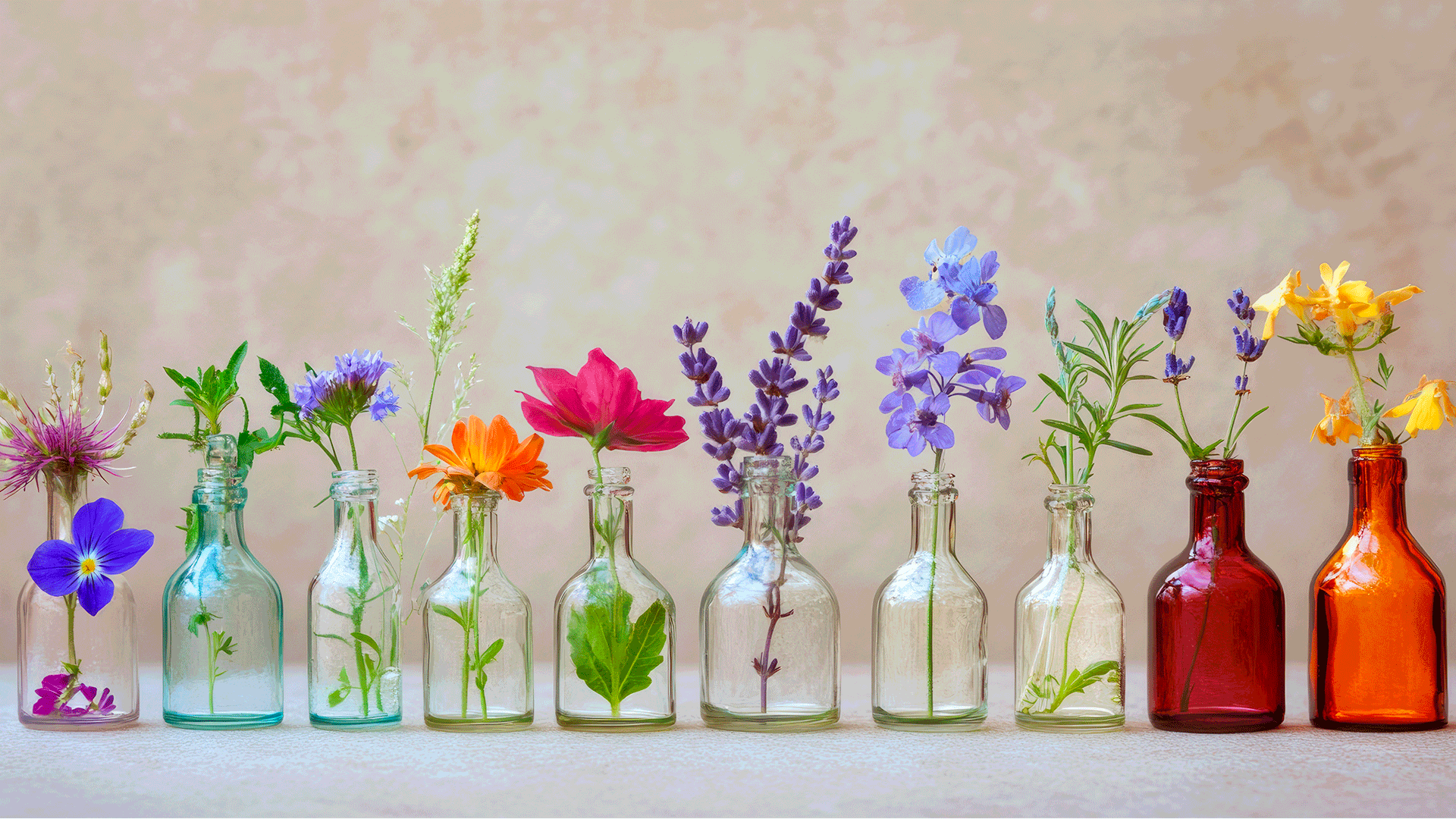 Fiori di Bach: cosa sono, a cosa servono e proprietà principali