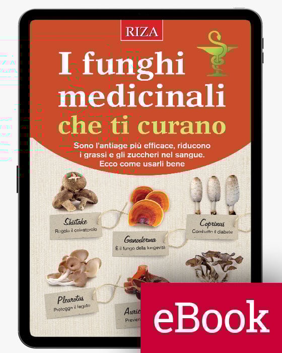 I funghi medicinali che ti curano