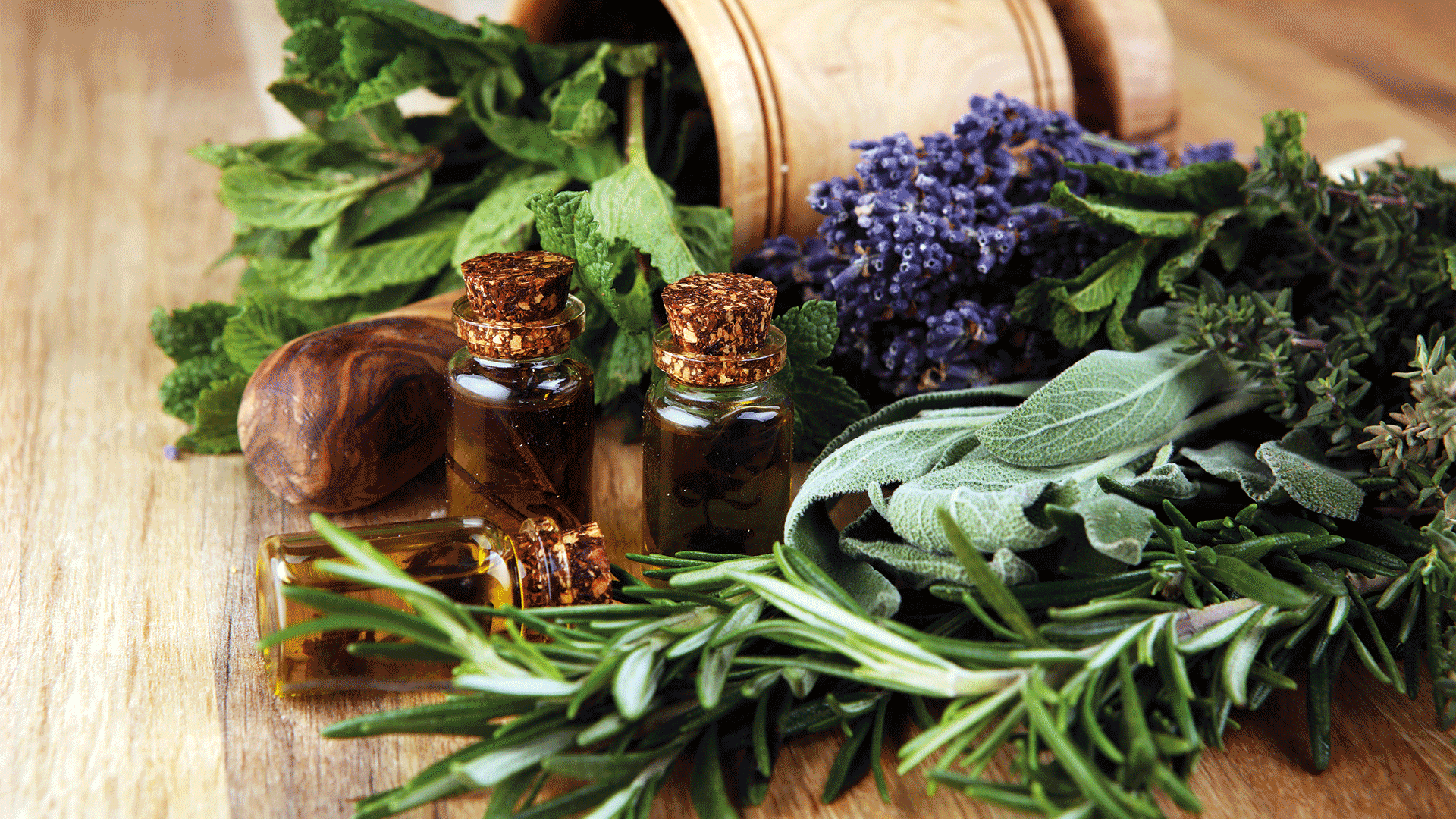 Scopri i migliori integratori naturali per dimagrire