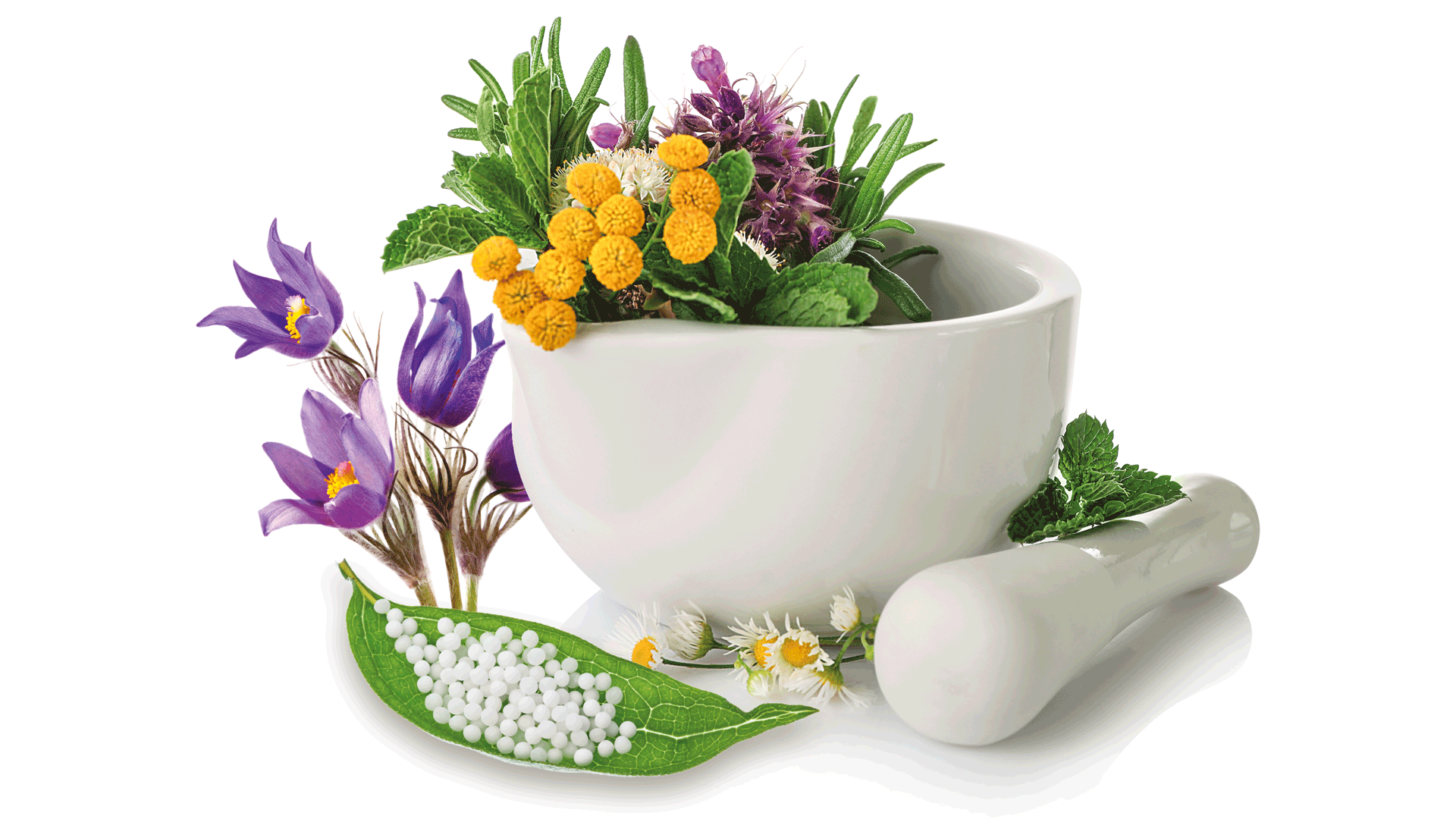 Omeopatia: i rimedi omeopatici comuni