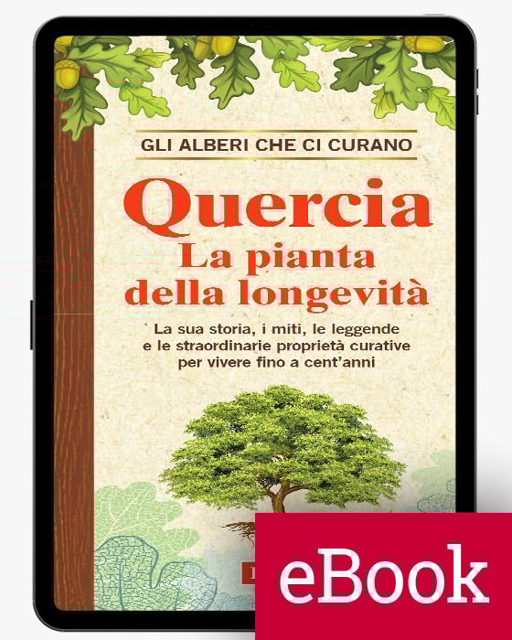 Quercia La pianta della longevità eBook