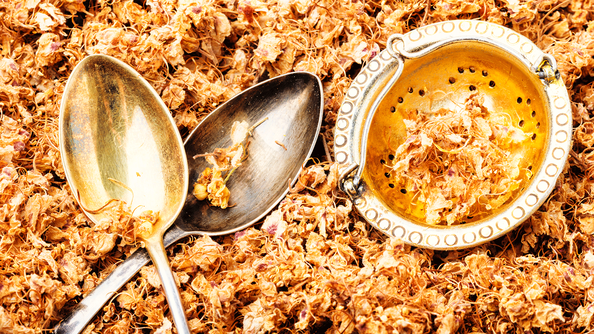 Fiore di Bach Sweet Chestnut: proprietà, a cosa serve, usi e benefici