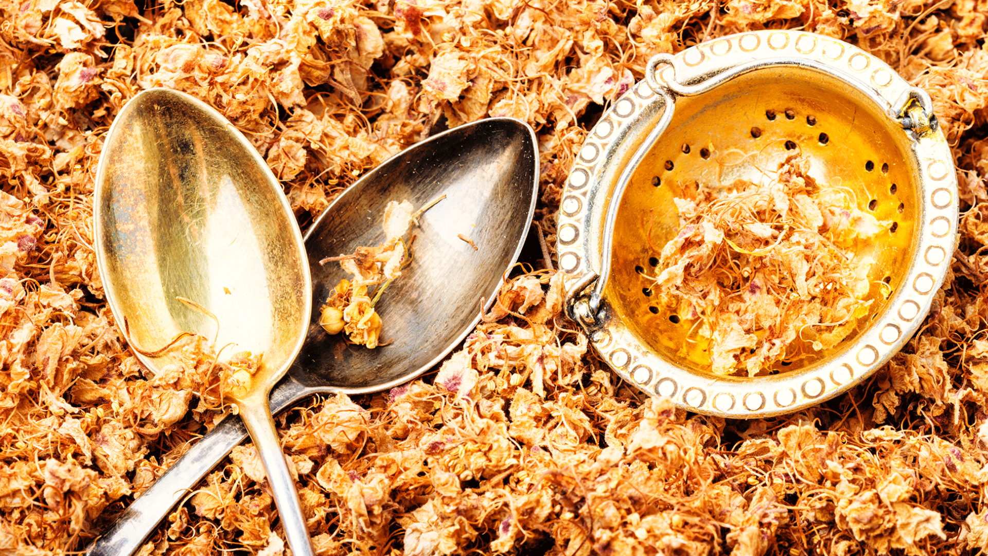 Fiore di Bach Sweet Chestnut: proprietà, a cosa serve, usi e benefici