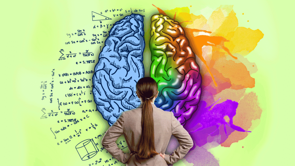 Emisfero destro e sinistro del cervello: quali sono le differenze e cosa controllano