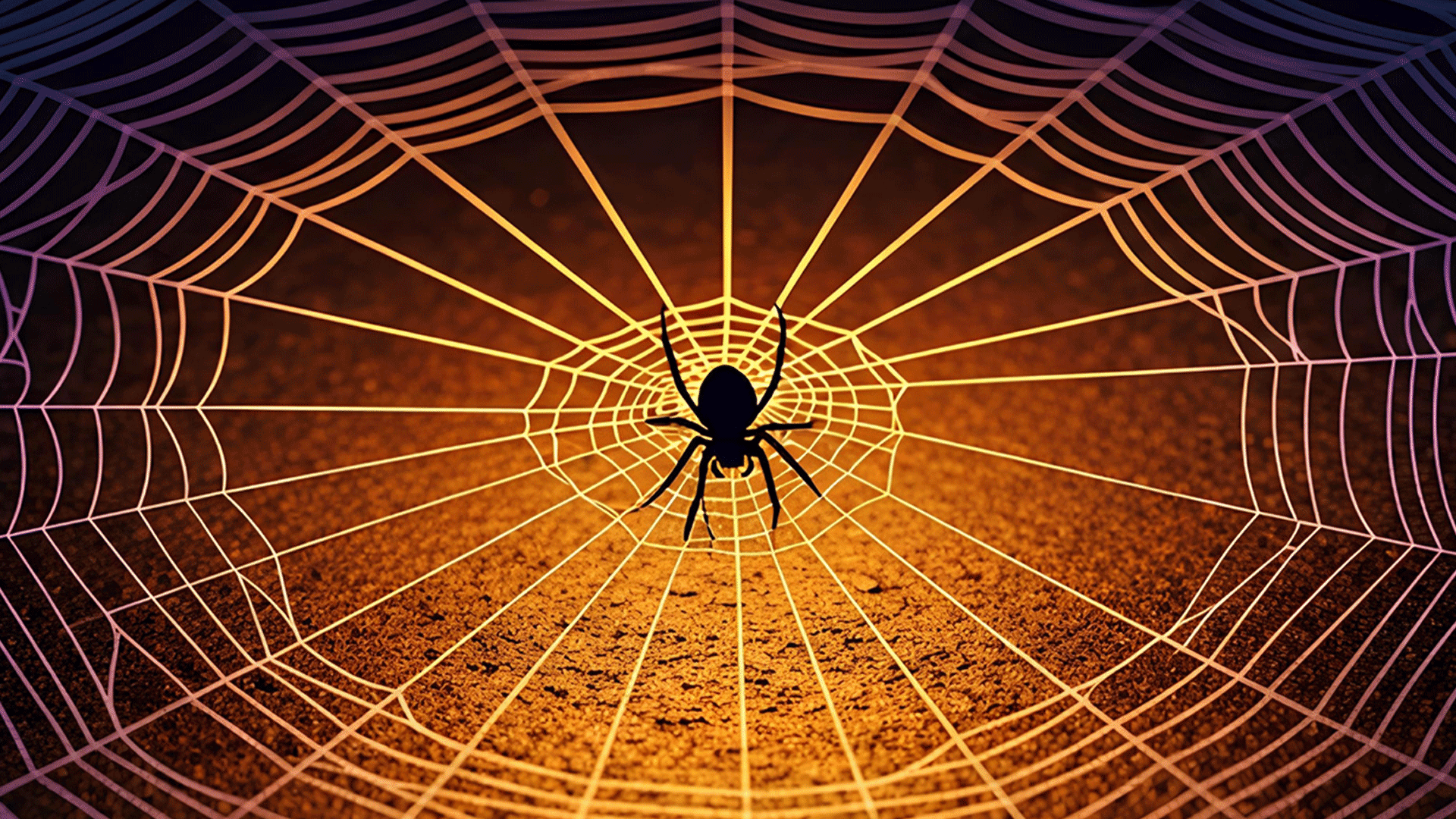 Aracnofobia: significato, cause e strategie per superare la paura dei ragni