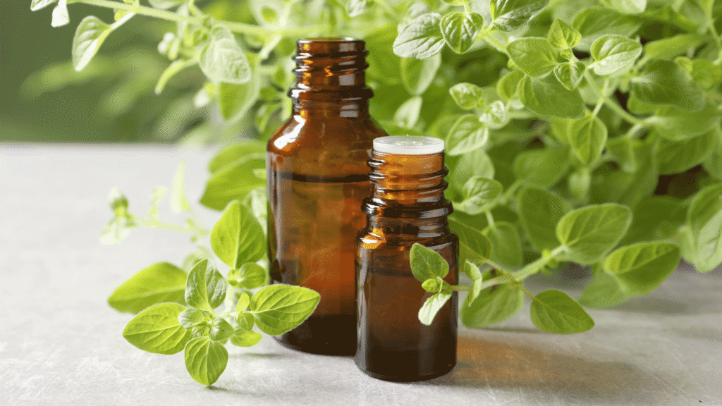 Olio essenziale di origano: cos’è, proprietà e come si usa